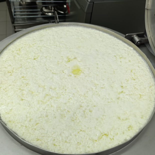 Сырный сгусток